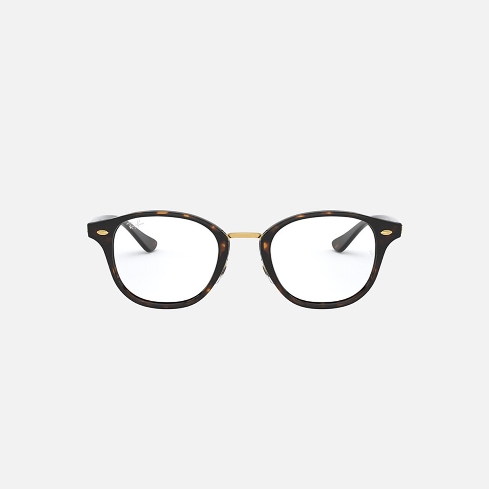 Ray-Ban RB5355 Optics Glasses in Polished Tortoise